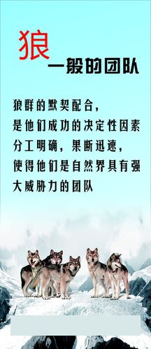 亚娱体育:怎样把地暖管里的水排出来(地暖管里的水怎么排掉)